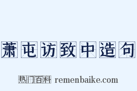 萧屯访致中造句是什么意思的图片